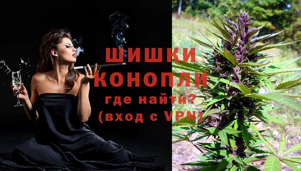дурь Горно-Алтайск