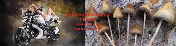 марки nbome Горнозаводск