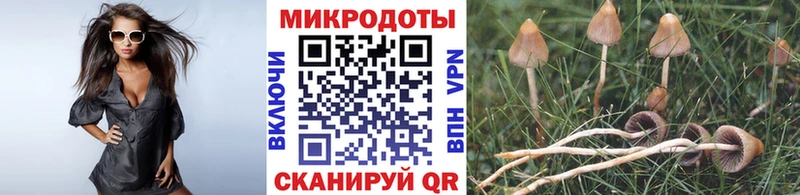 Галлюциногенные грибы MAGIC MUSHROOMS Купить закладки Кировград