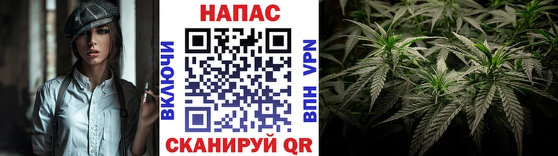 Бошки марихуана Bruce Banner  Купить закладки  Кировград 